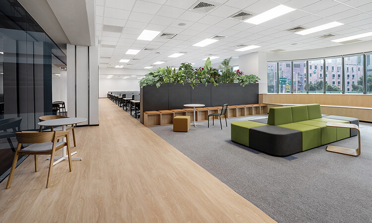 廣告公司員工辦公區創意綠化